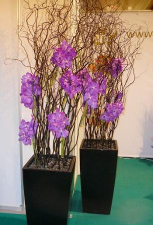  2007 219.jpg
