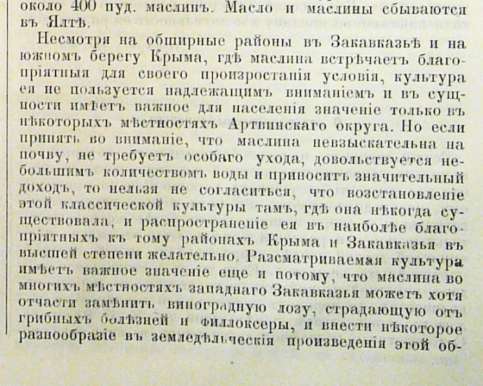007_13.jpg