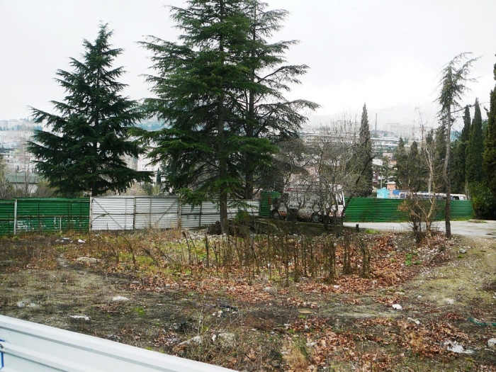 018_bus_station_yalta.jpg