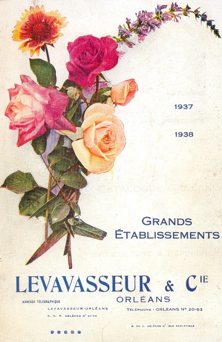 Levavasseur_001.jpg