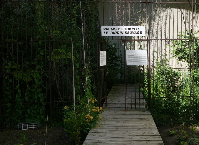 P1180598.JPG