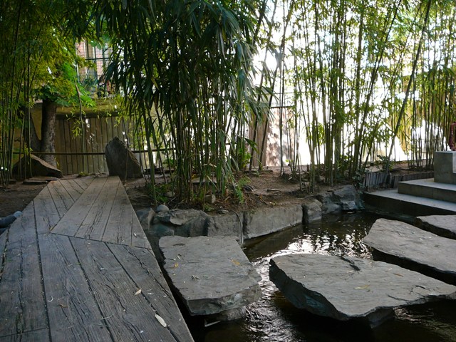 P1180631.JPG