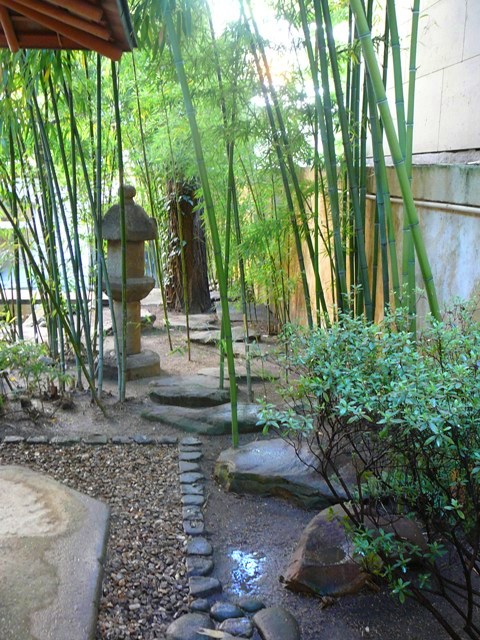 P1180643.JPG