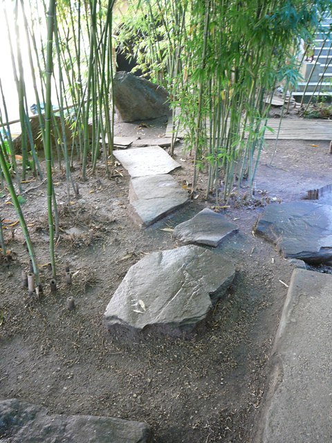 P1180665.JPG