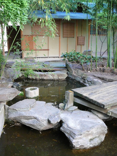 P1180675.JPG