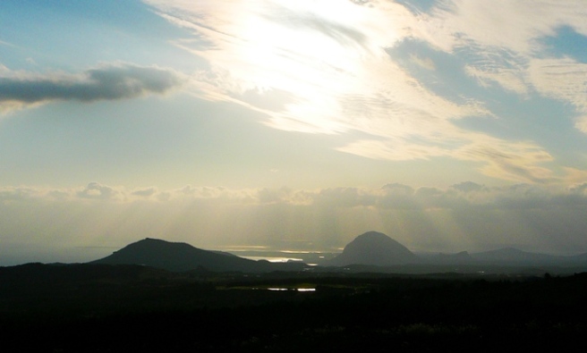 P1210495_0.JPG