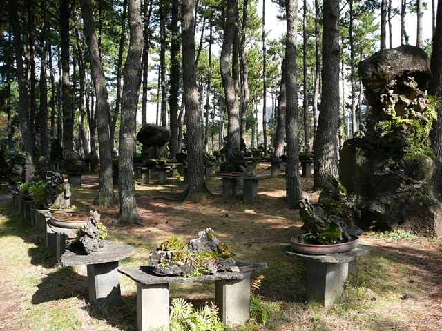 P1220406.JPG