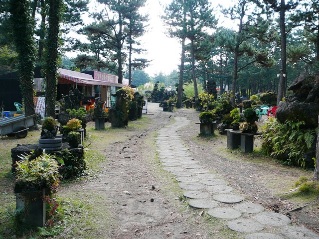 P1220410.JPG