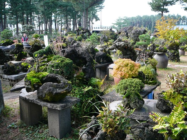 P1220414.JPG