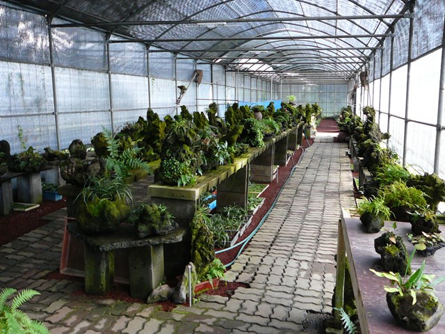 P1220425.JPG