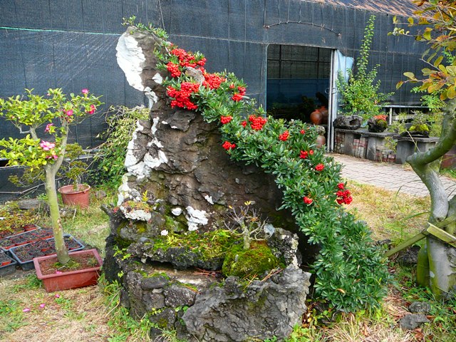 P1220430.JPG