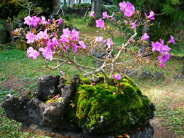 P1220444.JPG