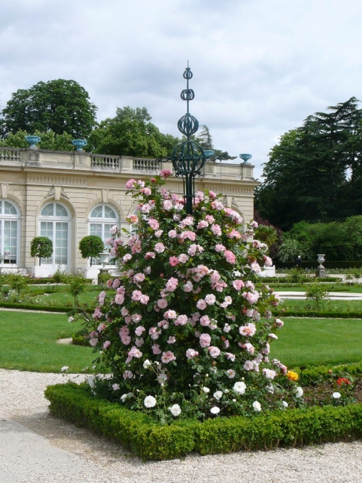 bagatelle_1001.jpg