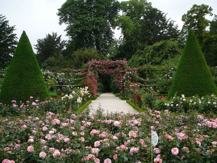 bagatelle_1003.jpg