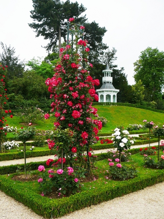 bagatelle_1005.jpg