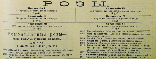 catalogue_roses_stamm_002.jpg