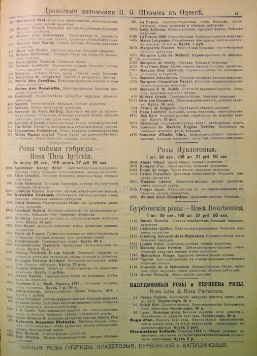 catalogue_roses_stamm_004.jpg
