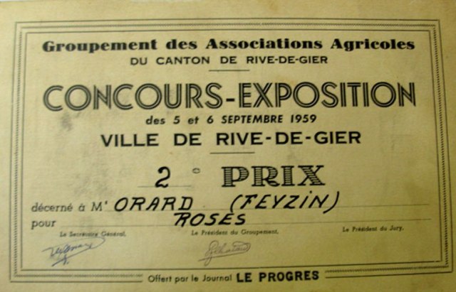 certificat-au-concours-de-r.jpg