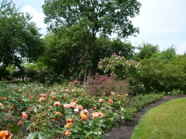 chemins_de_la_rose_006.jpg
