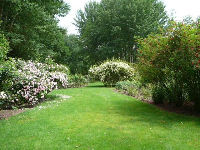 chemins_de_la_rose_007.jpg