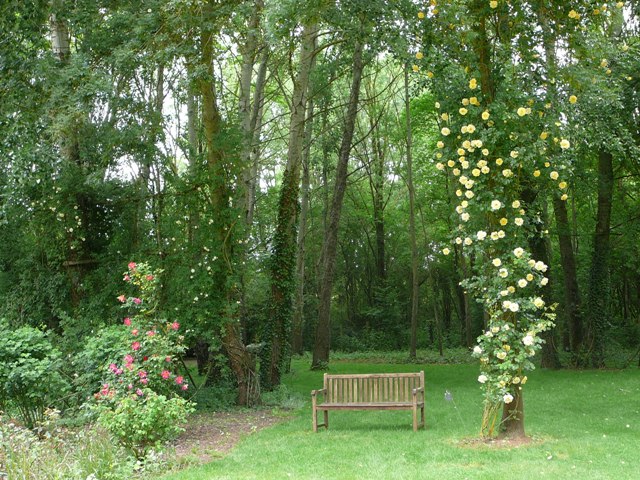 chemins_de_la_rose_014.jpg