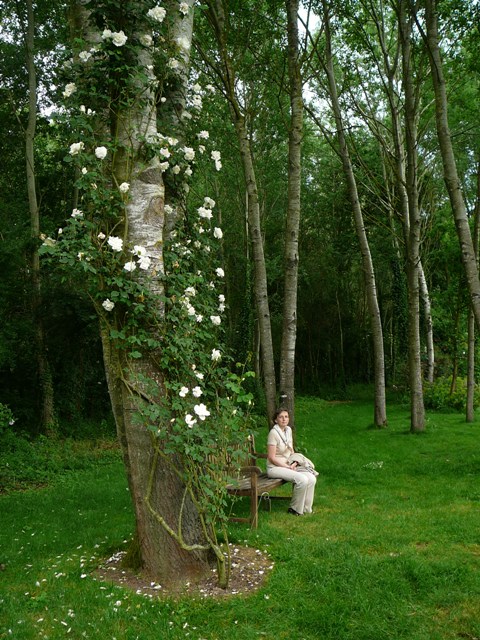chemins_de_la_rose_015.jpg