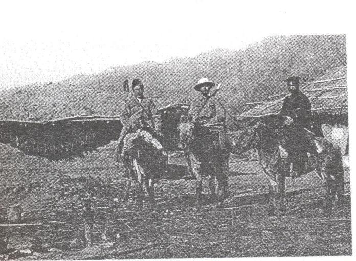 kopiya_izobrazhenie_013.jpg