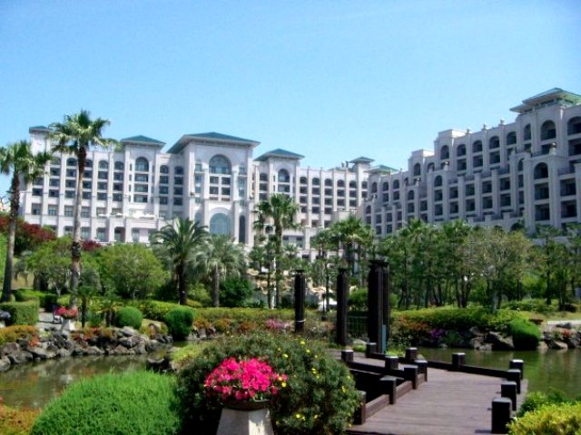 n237_34655488_8768.jpg