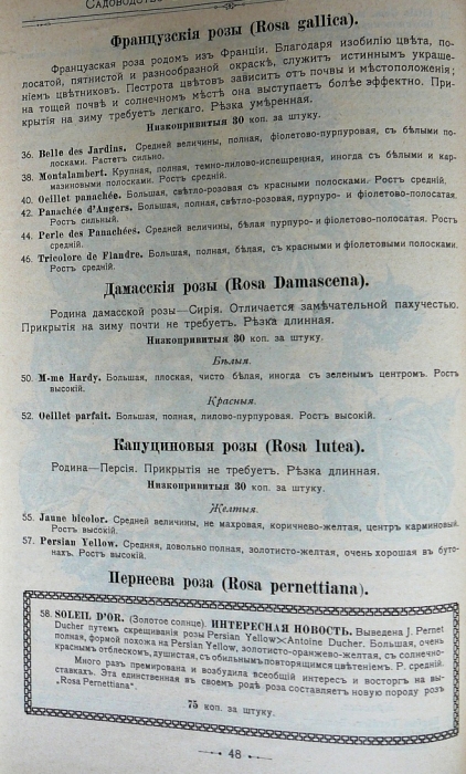 p1260683.jpg