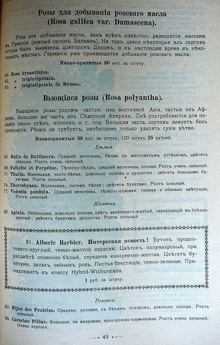 p1260684.jpg