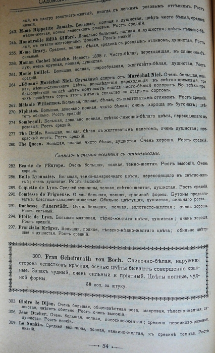 p1260689.jpg