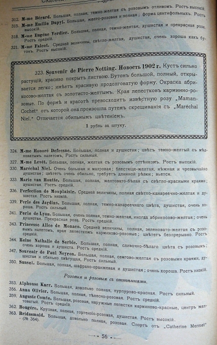 p1260691.jpg