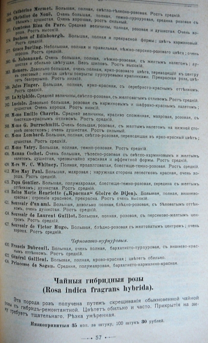 p1260692.jpg