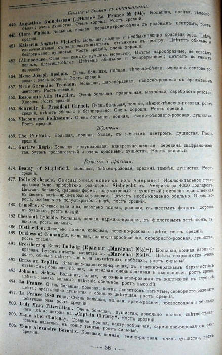 p1260693.jpg