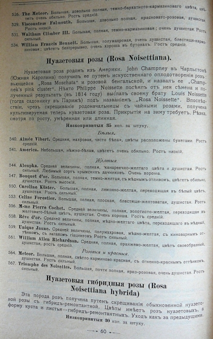 p1260695.jpg