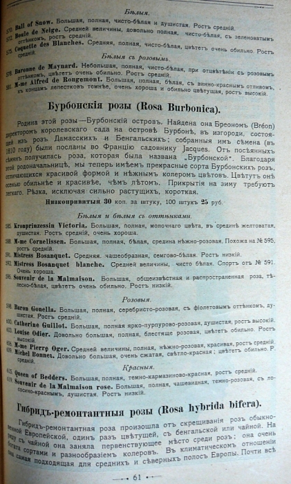p1260696.jpg
