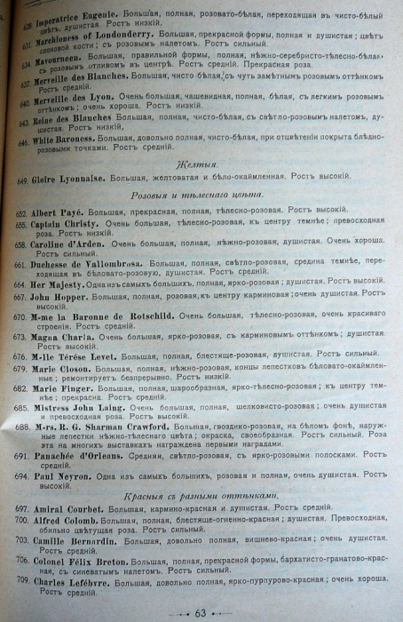 p1260698.jpg