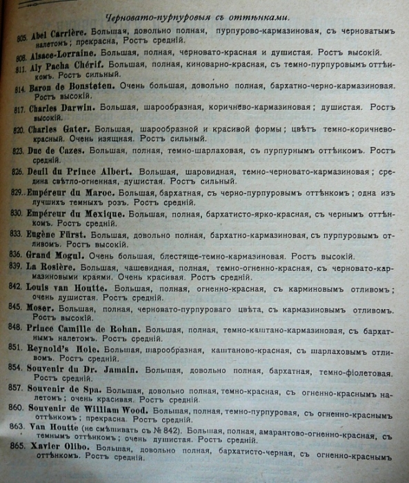 p1260700.jpg