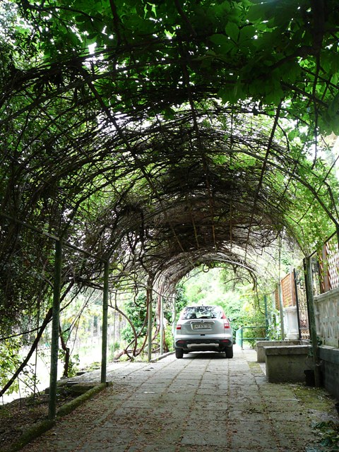 park_mishor.jpg