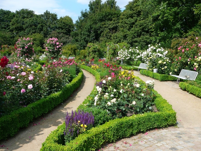 rosarium_hamburg_002.jpg