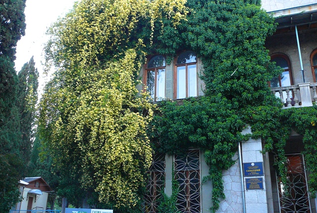 san_kirova.jpg