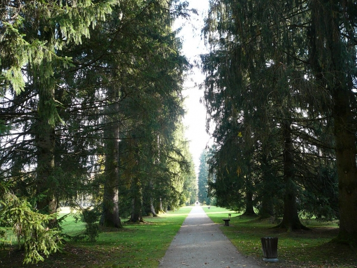helbrunn_007.jpg